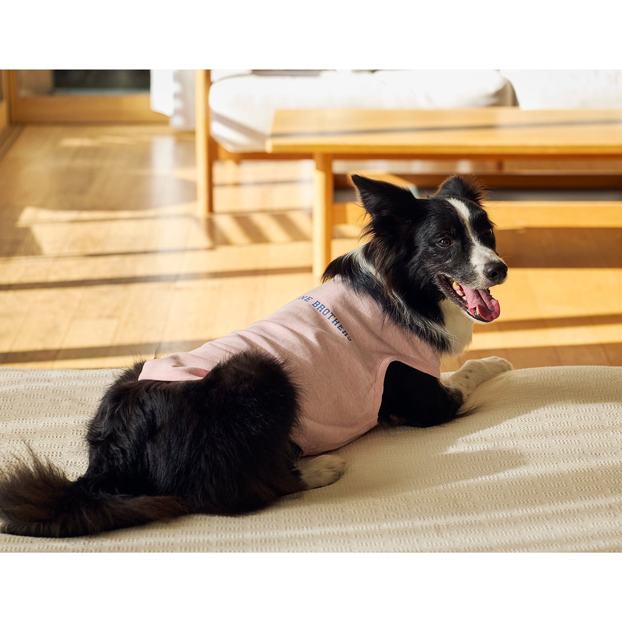 TENDER CARE T-SHIRT（M.MD.L） テンダーケアTシャツ | MANDARINE