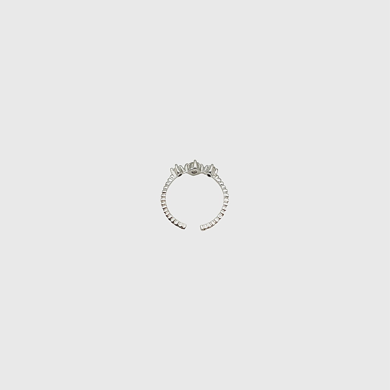 ring 01