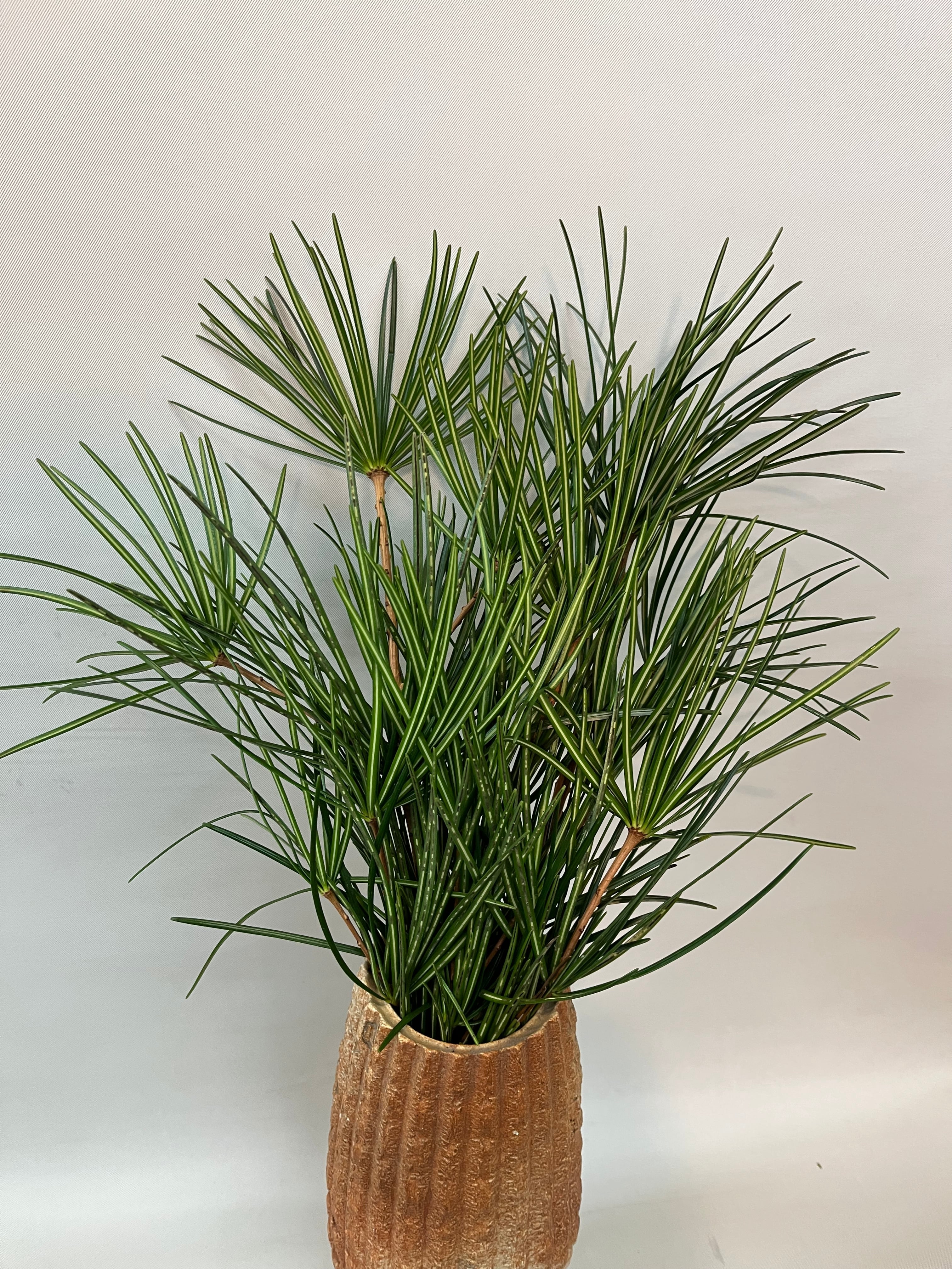 622041b8ad1576eebcbbe6941a08bc