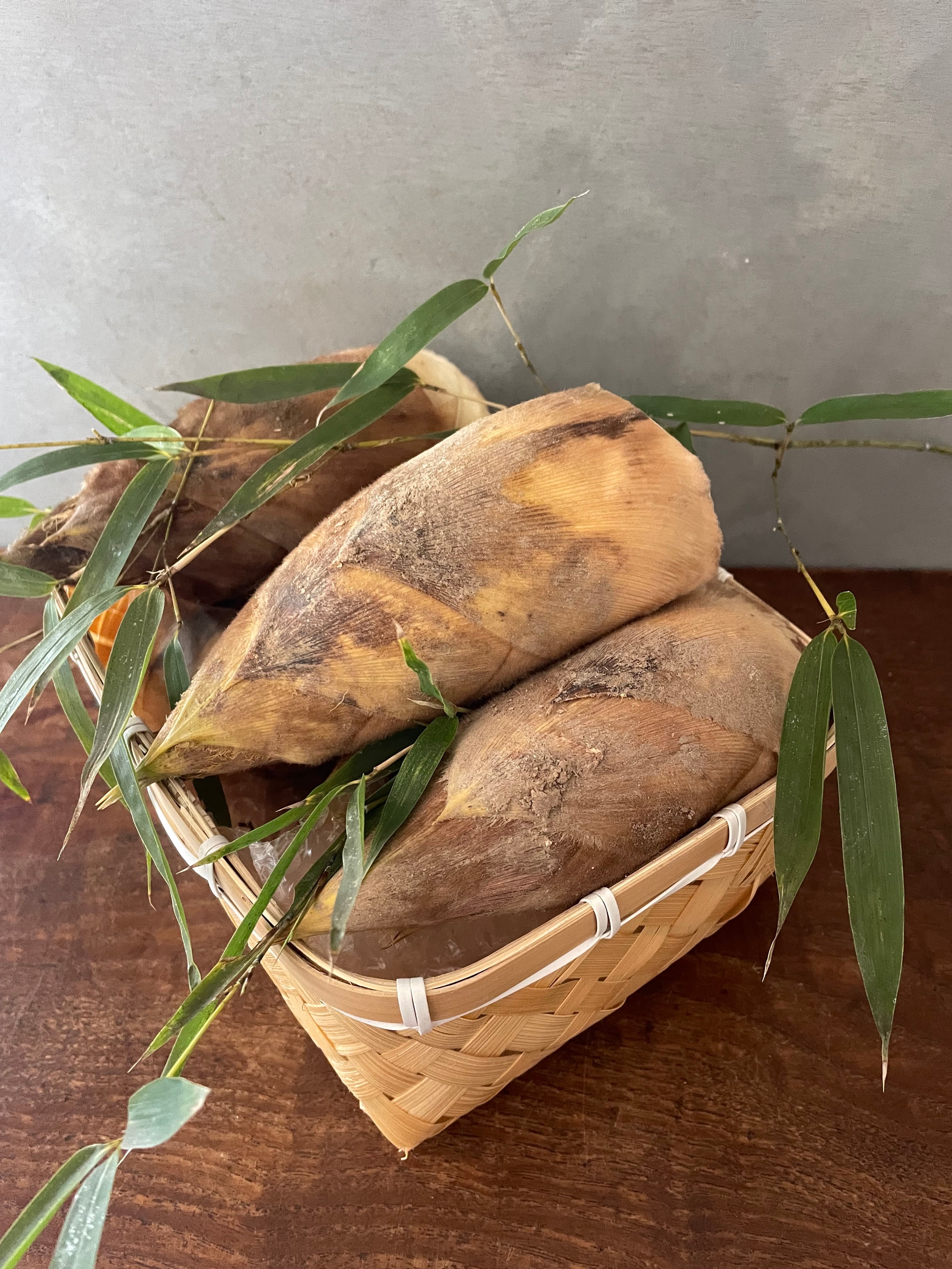 kimono-sk　白子筍2キロ 特選品「白子たけのこ」 京都山城産 筍 大〜中（3〜7本目安） 約2kg