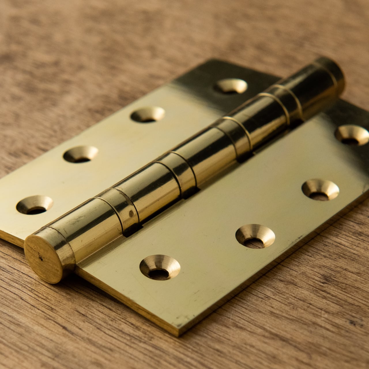 引抜蝶番 大 金 | PASSAGE DUVE