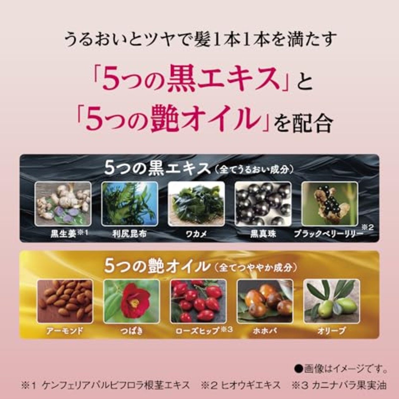 サロンドプロ 白髪染め カラートリートメント アッシュブラウン 180g