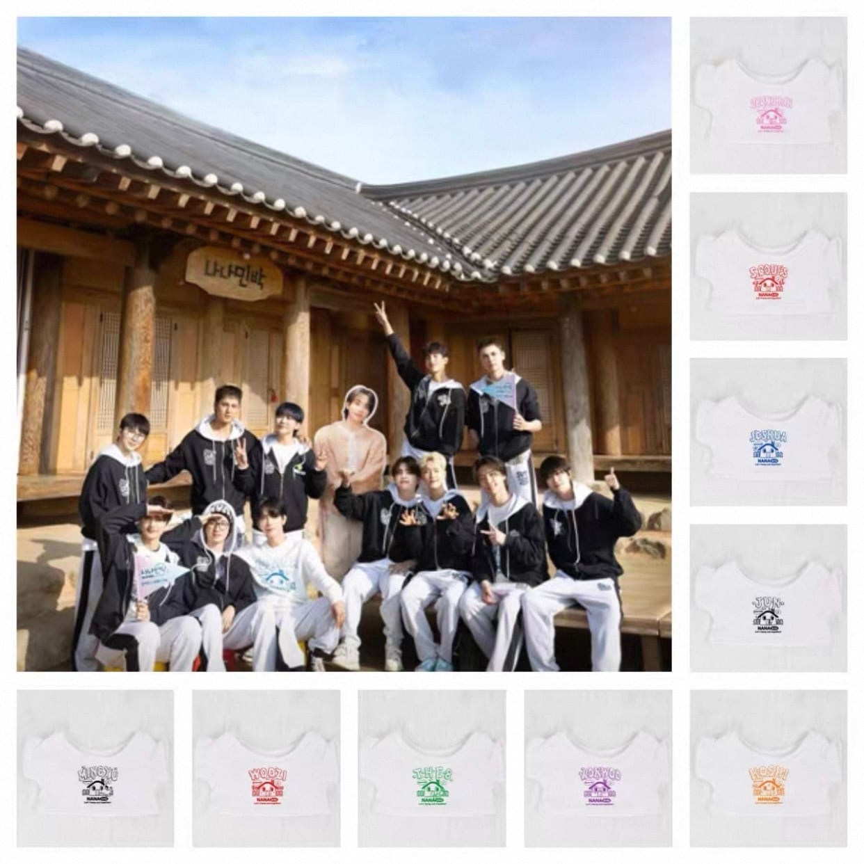 NANATシャツ』ナナツアー セブチ SEVENTEEN ぬい服 ちびぬい