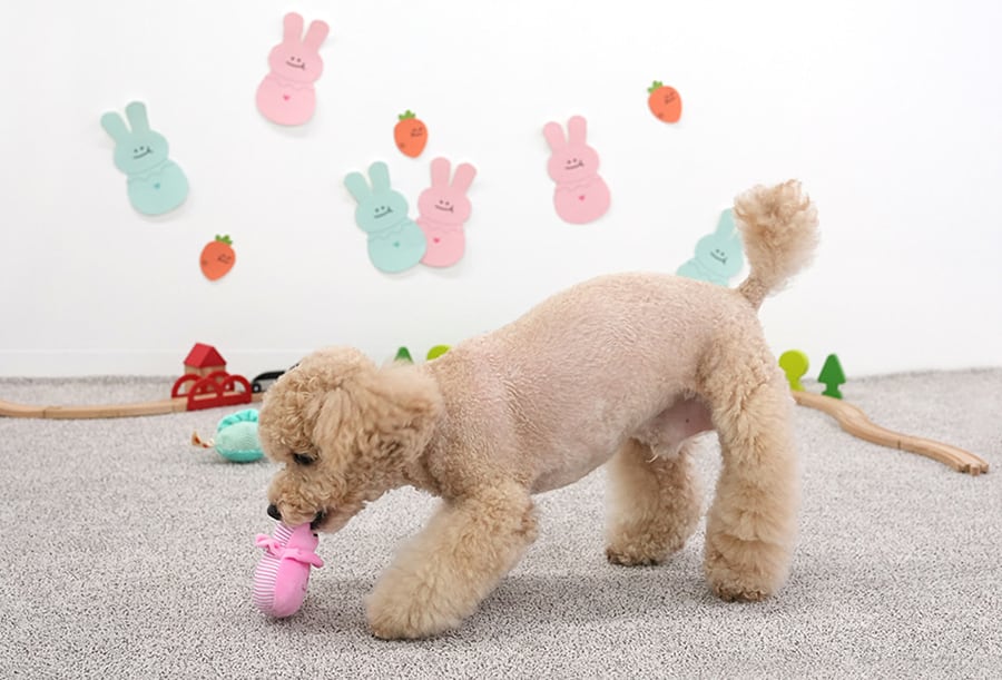 rabbit toy / ペット 犬 おもちゃ 噛む 音が鳴る 知育玩具 鳴き笛入り 可愛い わんちゃん おもちゃ ストレス解消 韓国 ペット用品 toy17