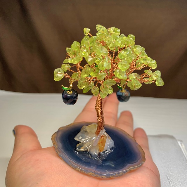 りんご大好きうさぎさん☆りんごがなる招財樹・ペリドット