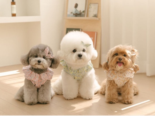 〈 即納アイテム 〉Rolling PEPE ブラウス / メラニーフラワーブラウス (ベージュ) S.Mサイズ