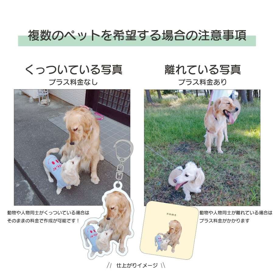 ハンカチ ミニタオル 20×20cm 選べる3デザイン｜写真入り 名入れ｜うち