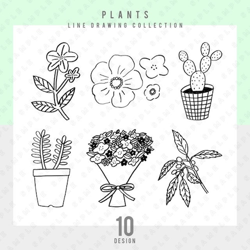 【シンプル】PLANTS 10点セット