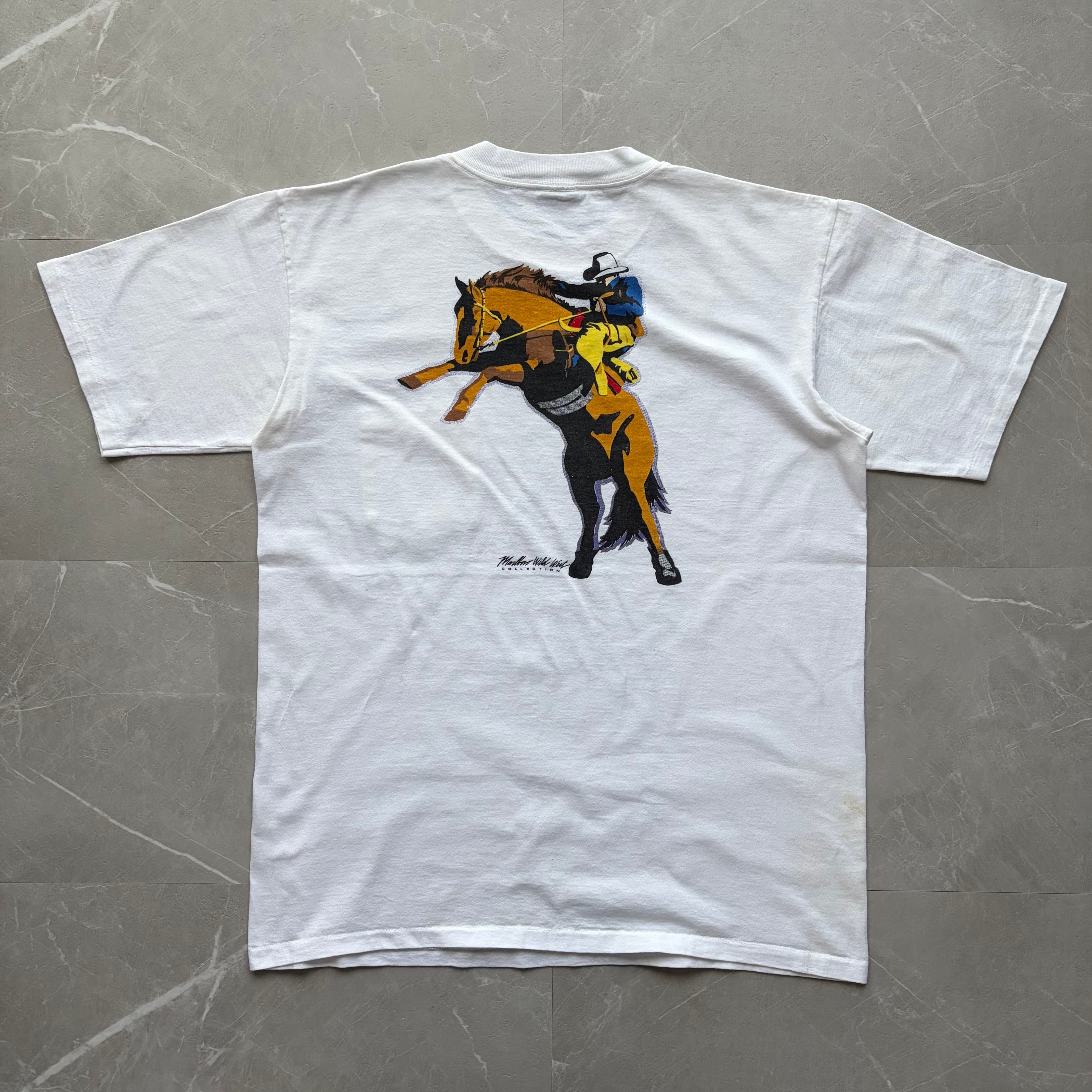 80～90s OLD STUSSY/BIG and MEATY Tee/USA製/黒タグ/S/dinosaur/恐竜