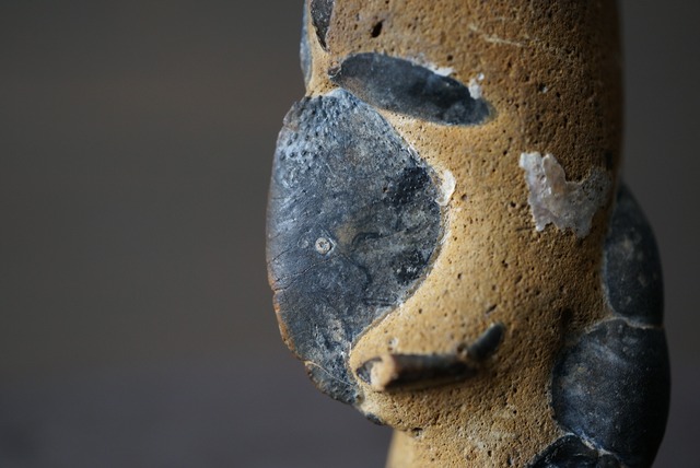 オーストラリア産ロブスター化石 Thalassina anomala Fossil 818