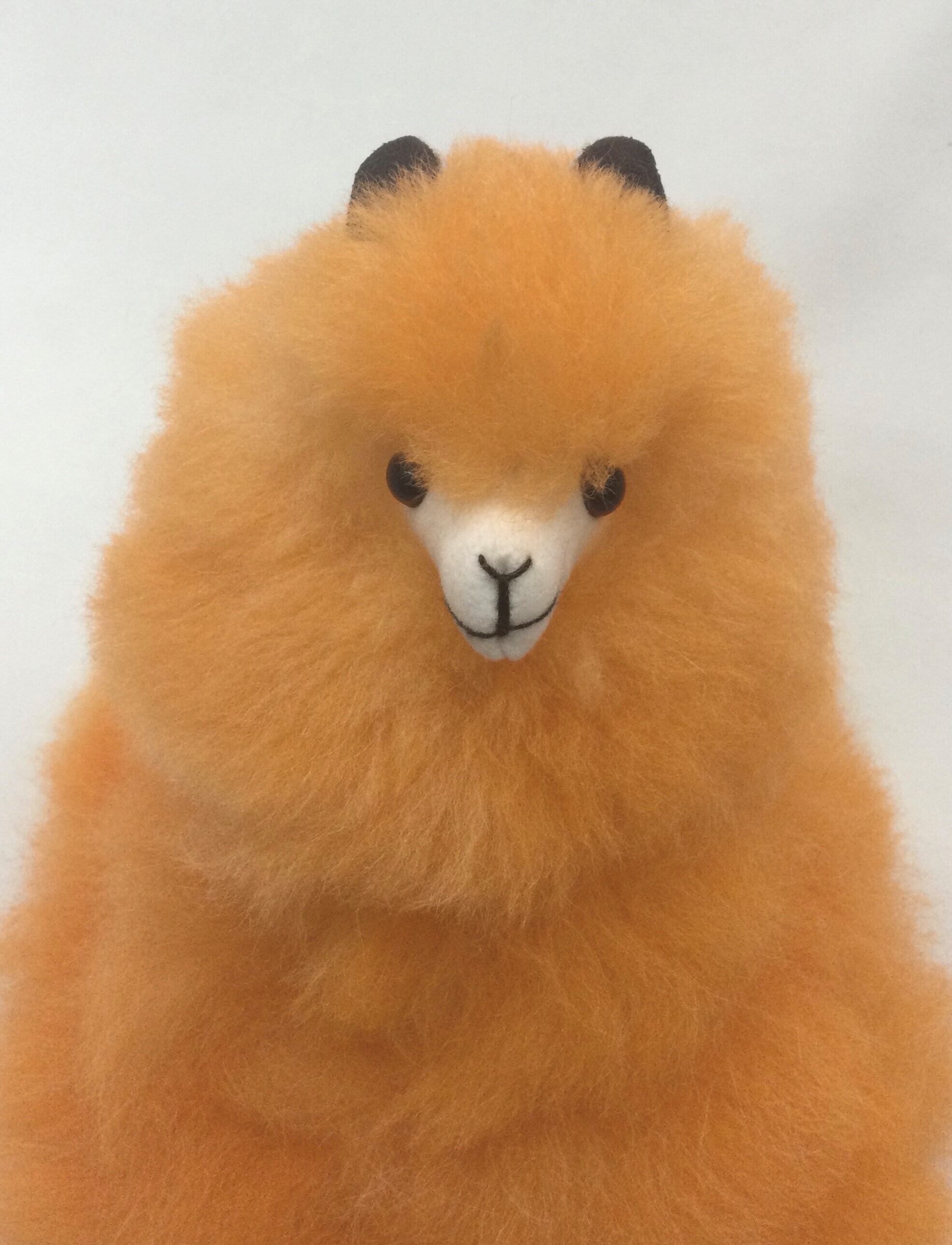 座りアルパカ オレンジ Alpaca World