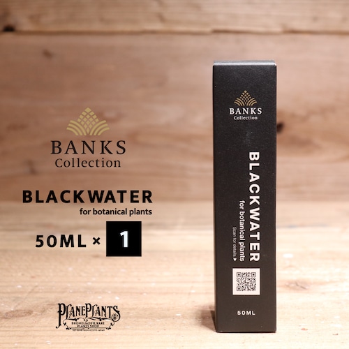 【送料別】BLACK WATER 50ML×1〔BANKS Collection〕BC01-1