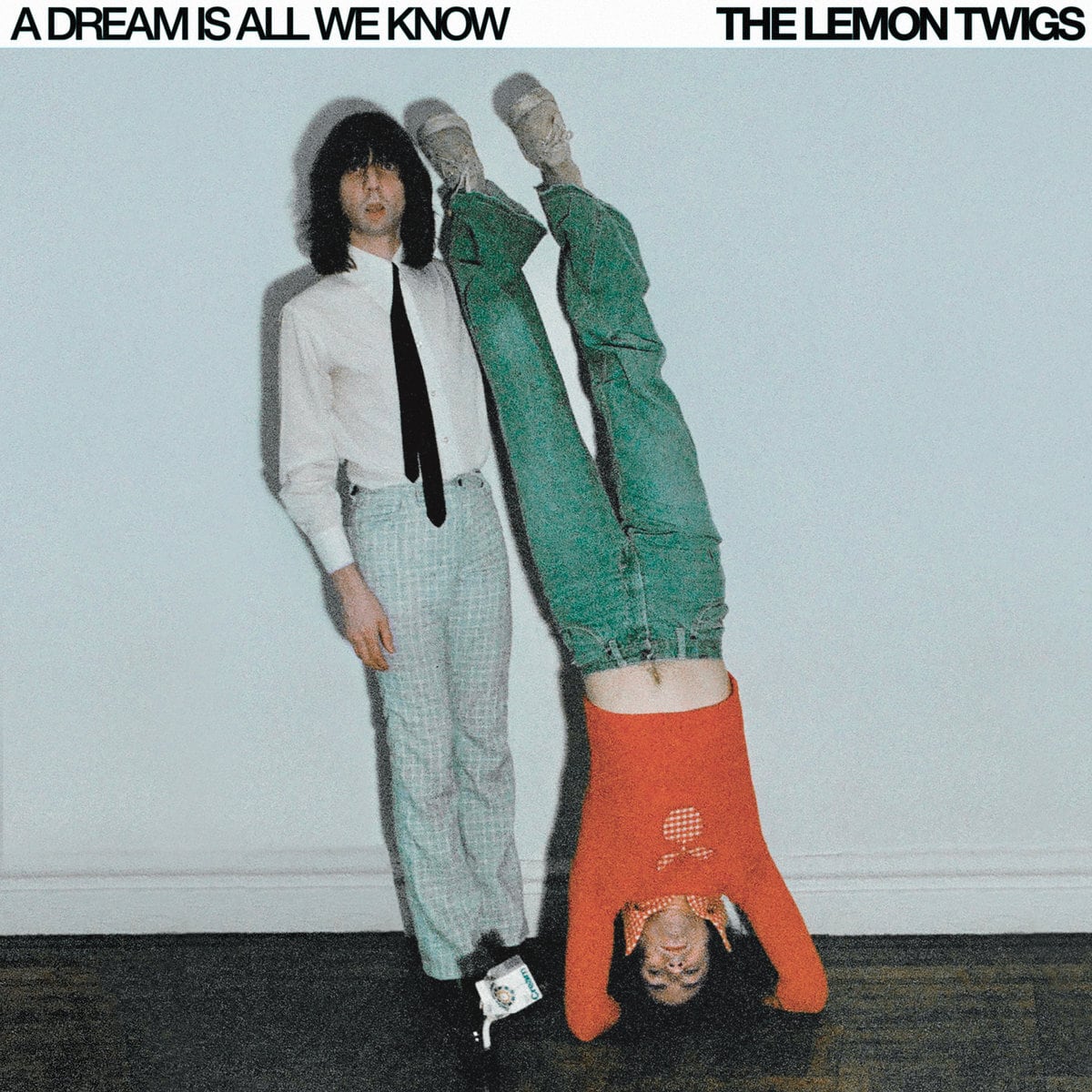 The Lemon Twigs / A Dream Is All We Know（LP）