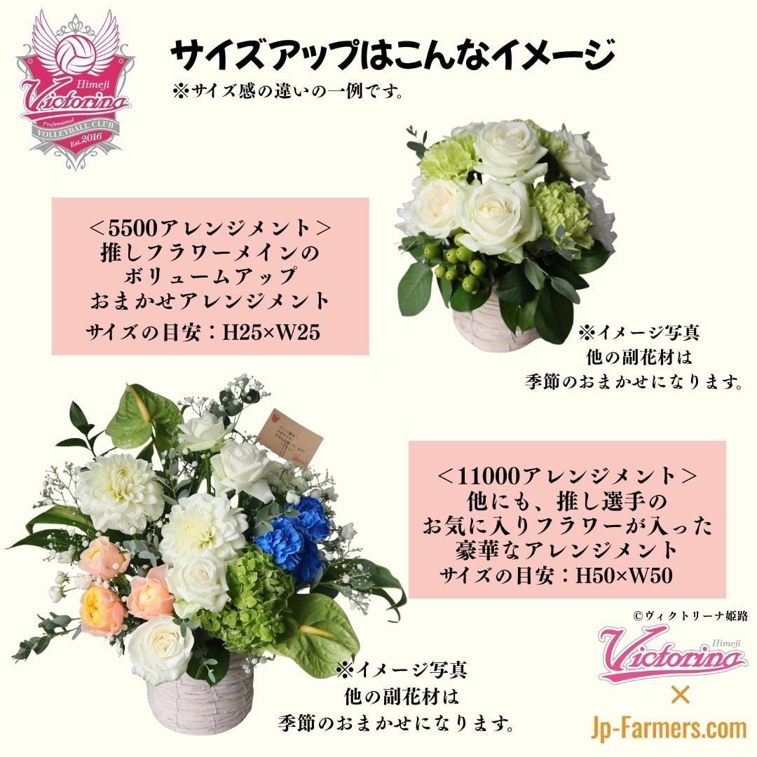 ヴィクトリーナ姫路応援企画】ブーケを贈って応援しよう ミラ