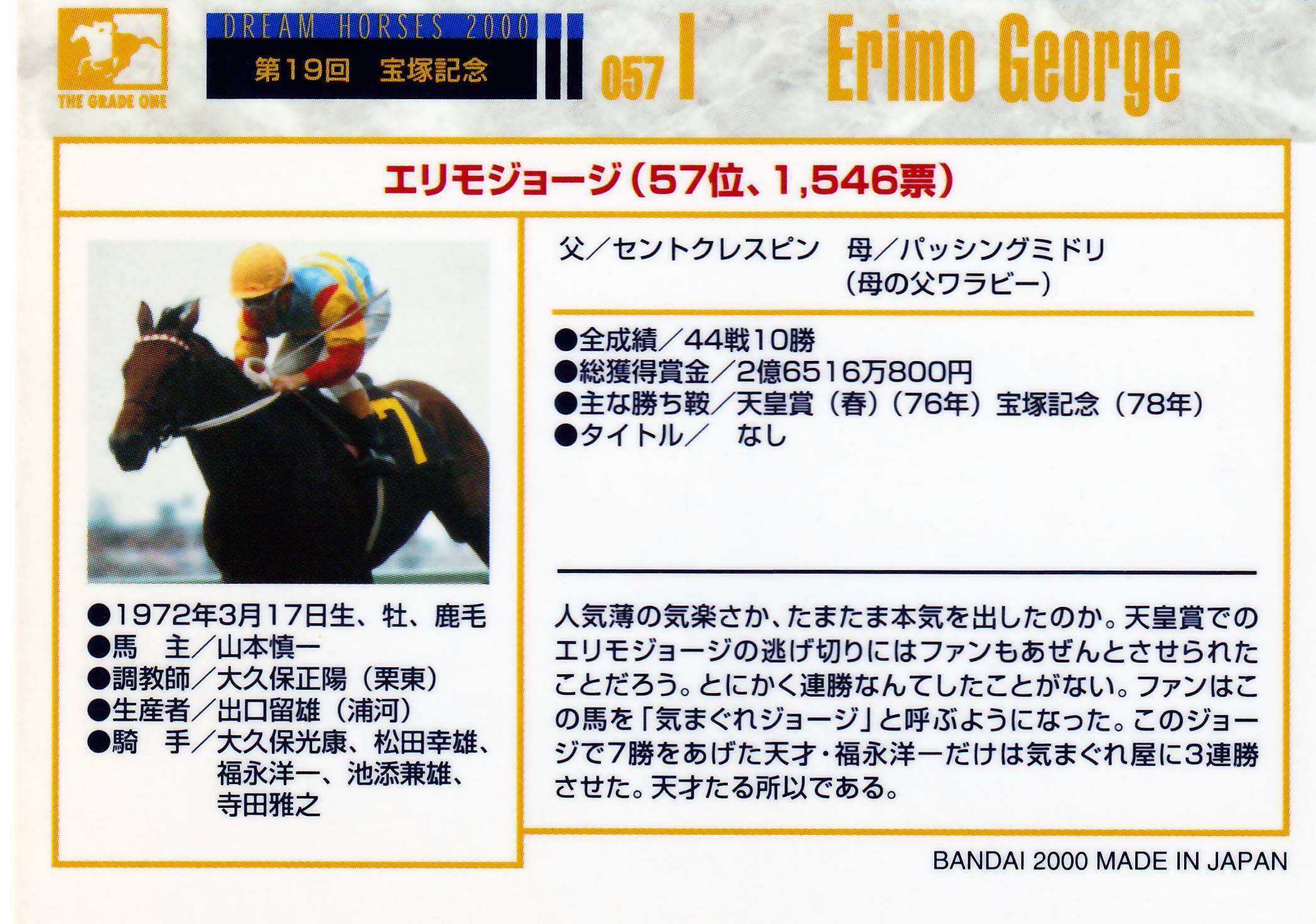 競馬生写真 シルクジャスティス他 連番入場券 JRAホームページ｜データ