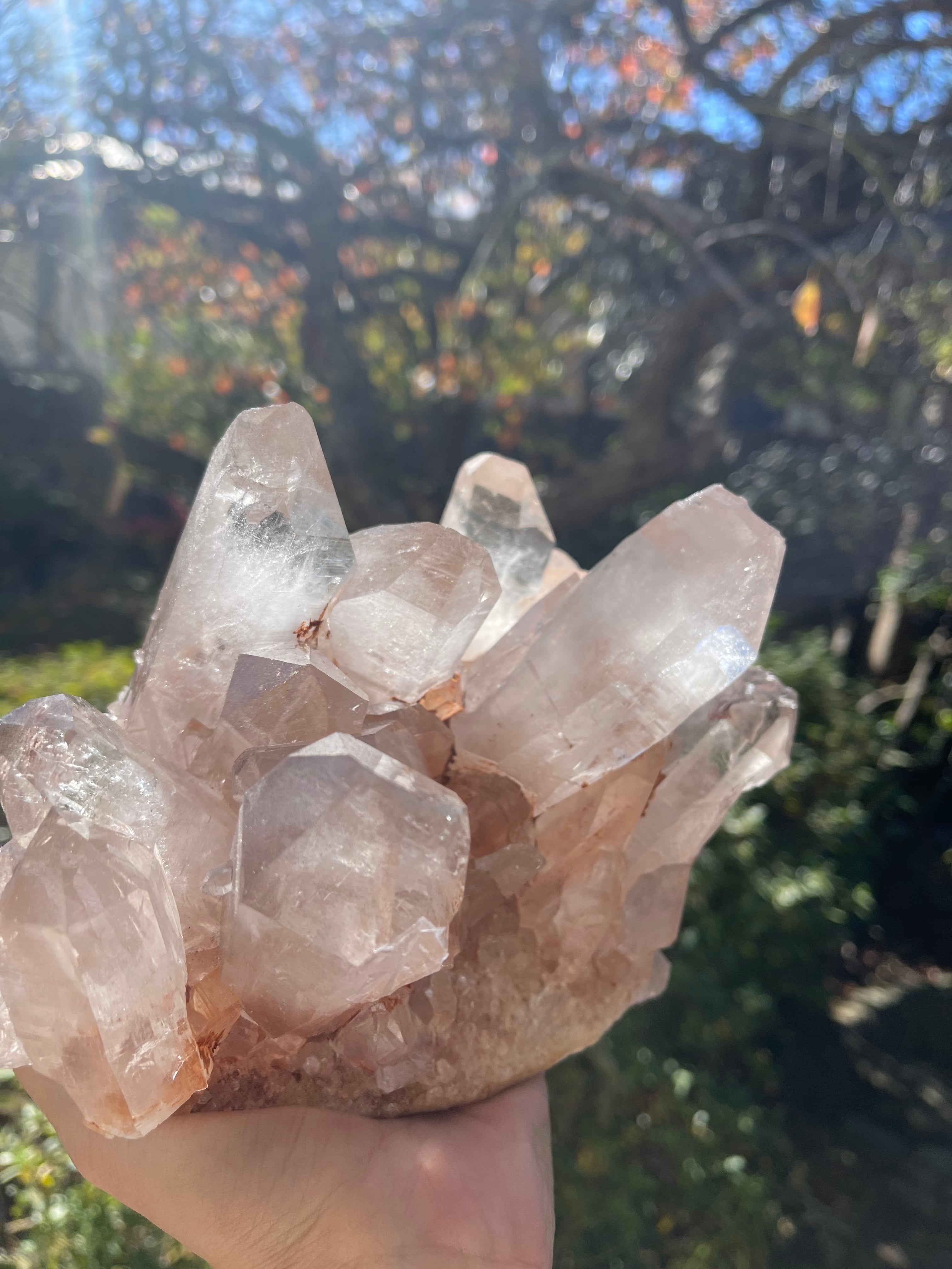ヒマラヤ　ピンクサマディクォーツクラスター/Himalayan pink samadhi quartz cluster