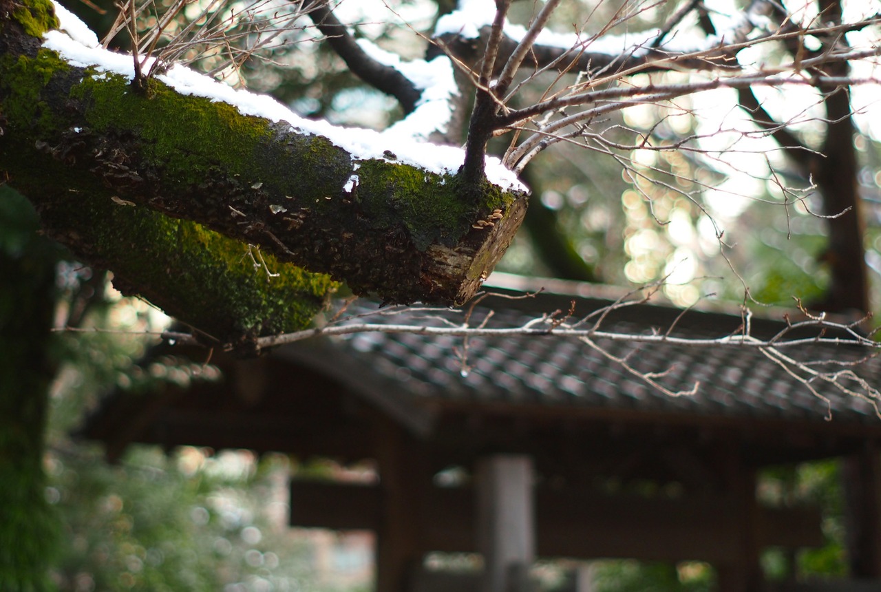 【上美品】MD Rokkor 50mm f1.7  人気の軽量標準レンズ