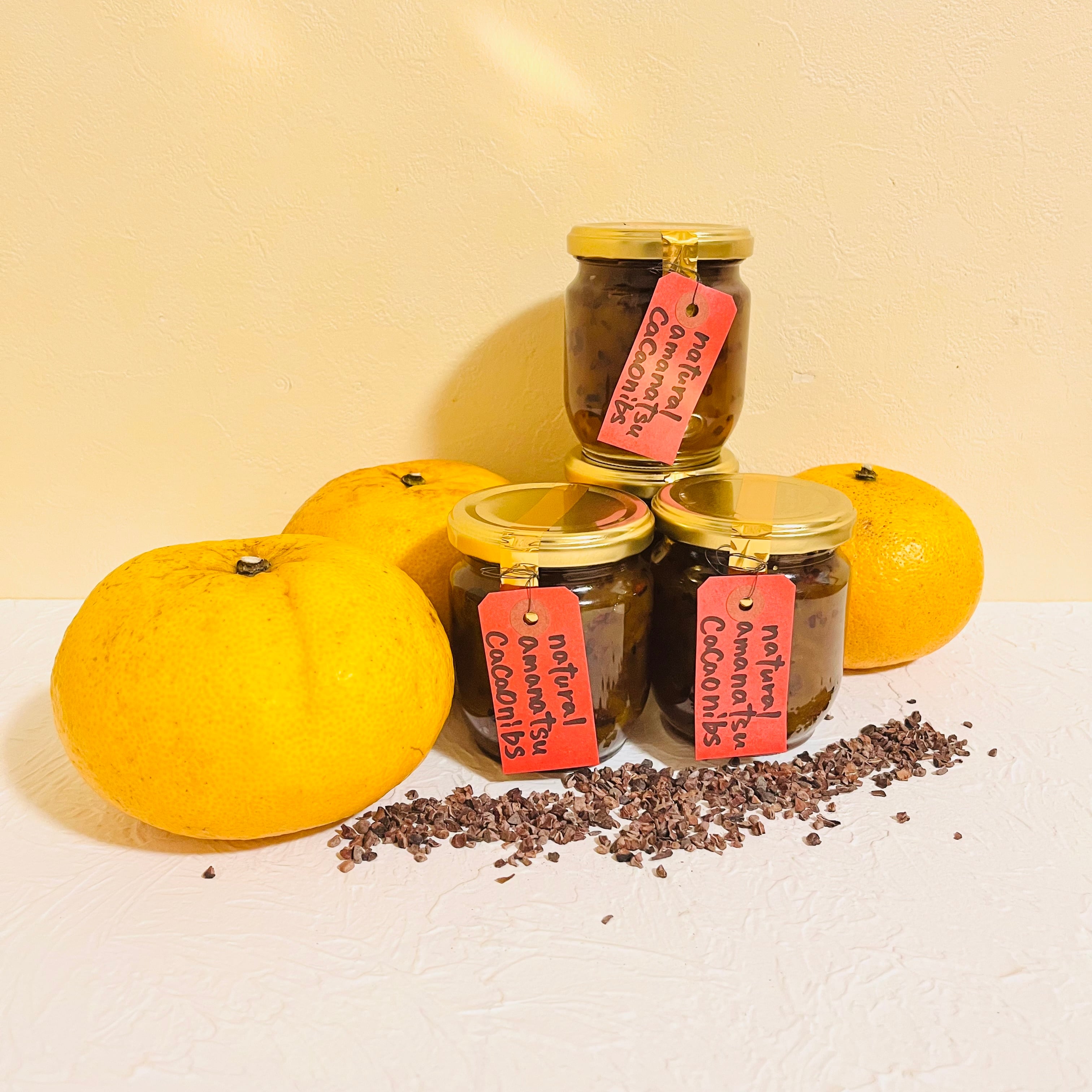 木成り完熟甘夏とカカオニブのマーマレード　自然栽培　津奈木産