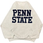 1990's PENN STATE Sweat