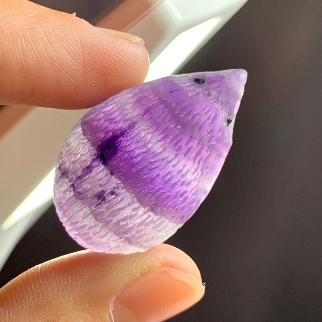 70大家族☆フローライトハリネズミさん