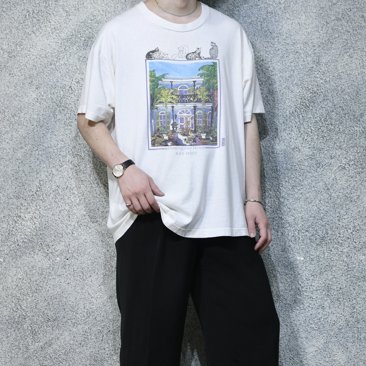 88's Hemingway house cat print tee