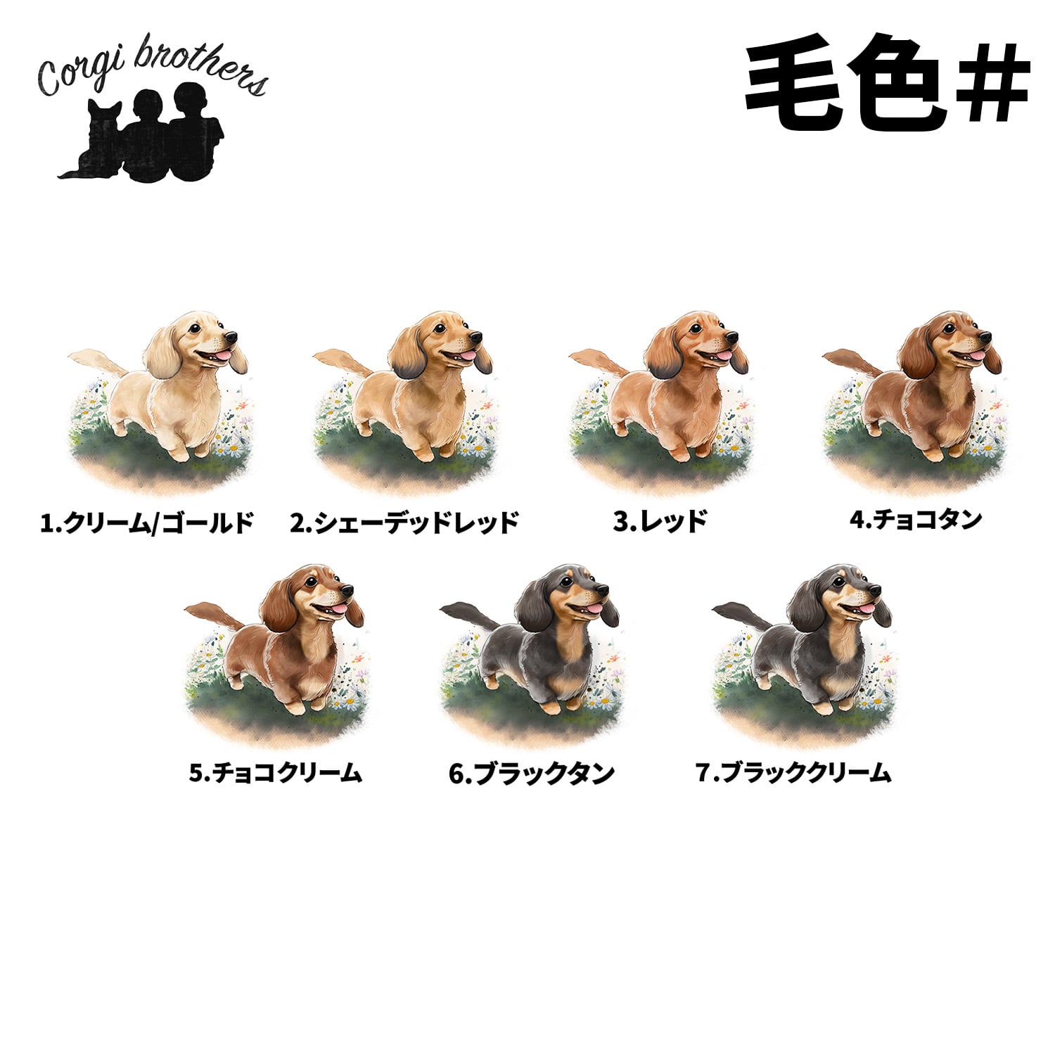 ★恵美子様オーダー★ダックスフンド　ズパゲッティ ☆恵美子様オーダー☆ダックスフンドズパゲッティ