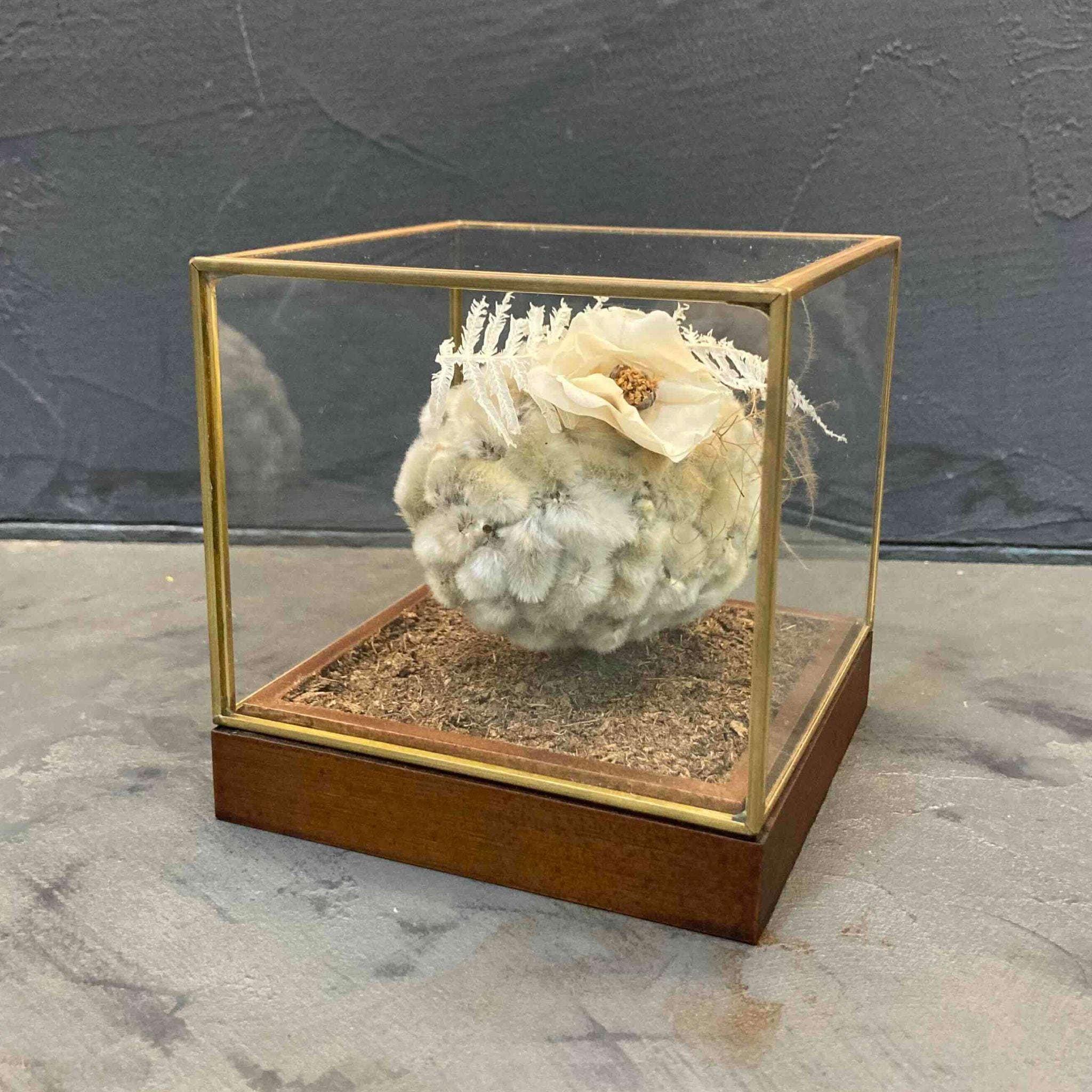 ガラスキューブのドライオブジェ/ホワイト（送料無料）