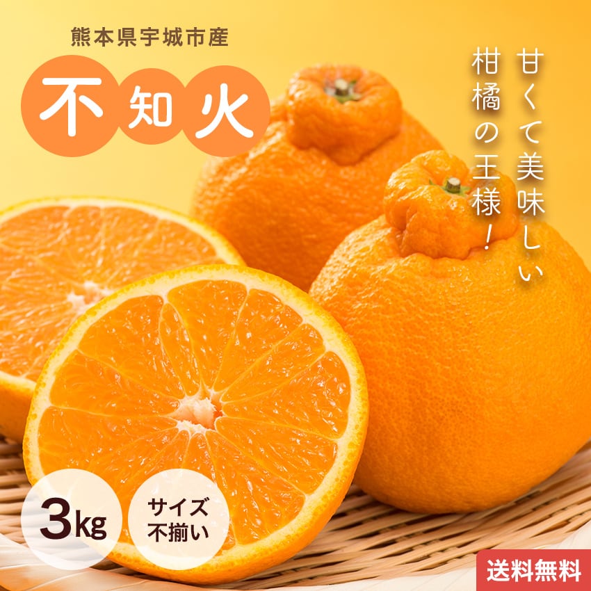熊本県宇城市産 不知火 3kg サイズ不揃い