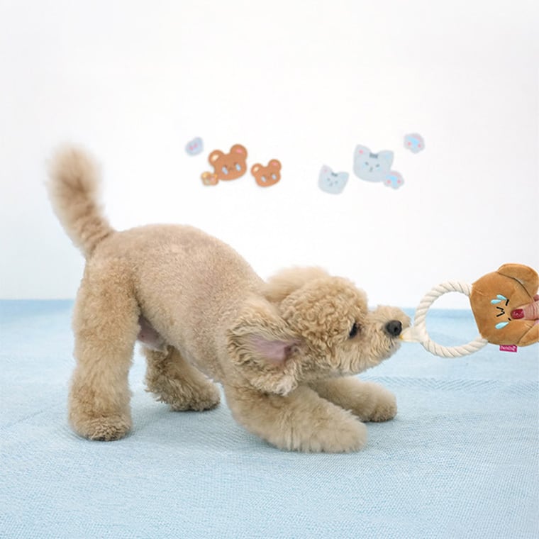 catch rope toy 4color 2type / ペット 犬 おもちゃ 噛む 音が鳴る ロープ 知育玩具 鳴き笛入り 可愛い わんちゃん おもちゃ ストレス解消 韓国 ペット用品