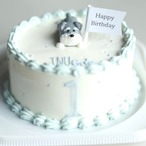 【冷凍発送】 3月インユースタンダードケーキ