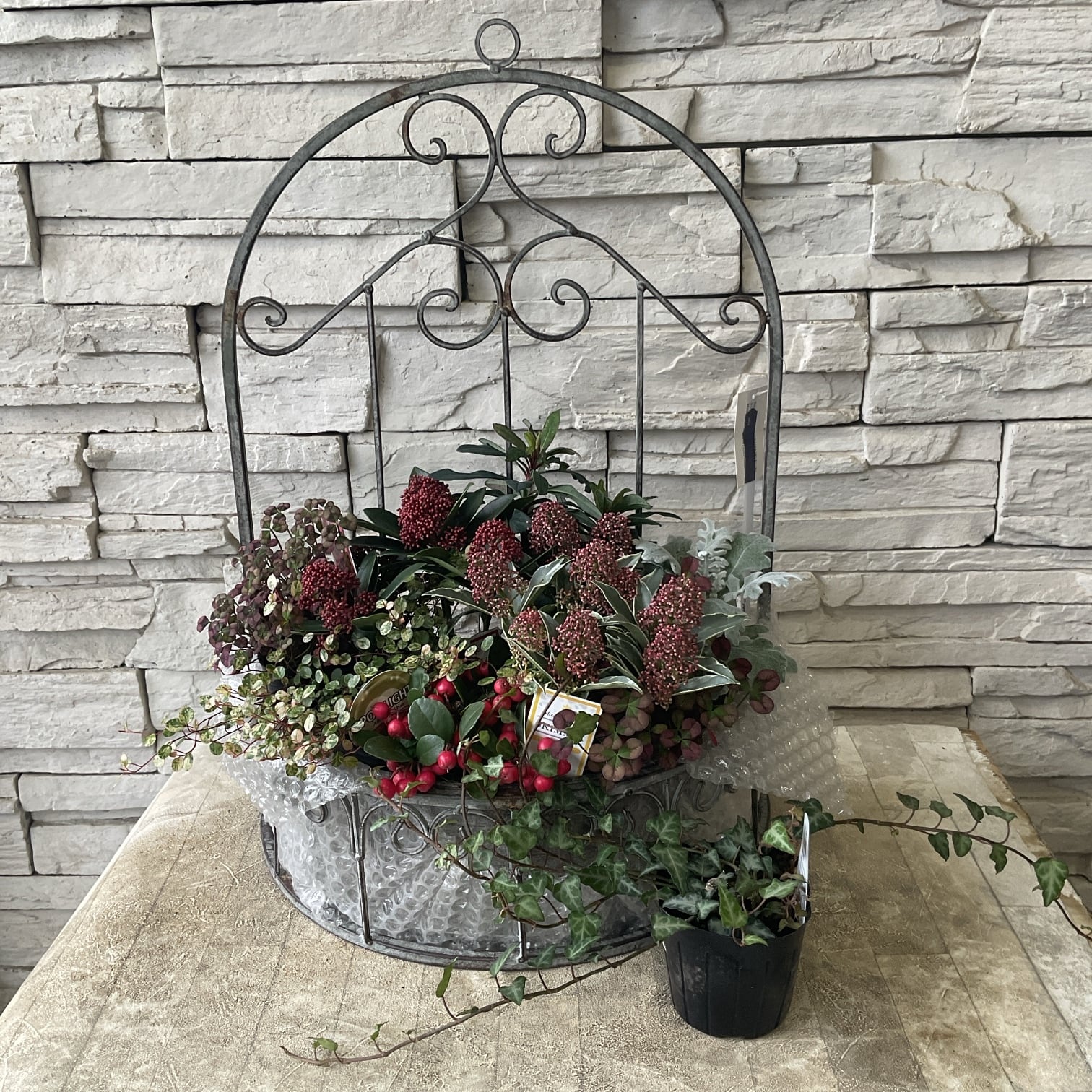 爽やかアンスリウムの寄せ植え | 橋本種苗園