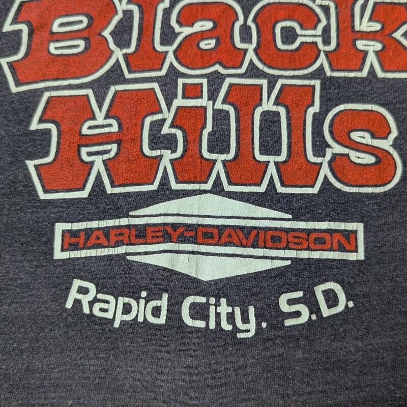 80s HARLEY-DAVIDSON Eagle Print Hanes T-Shirt (XL) BLACK 80s HARLEY-DAVIDSON Eagle Print Hanes T-Shirt (XL) BLACK
