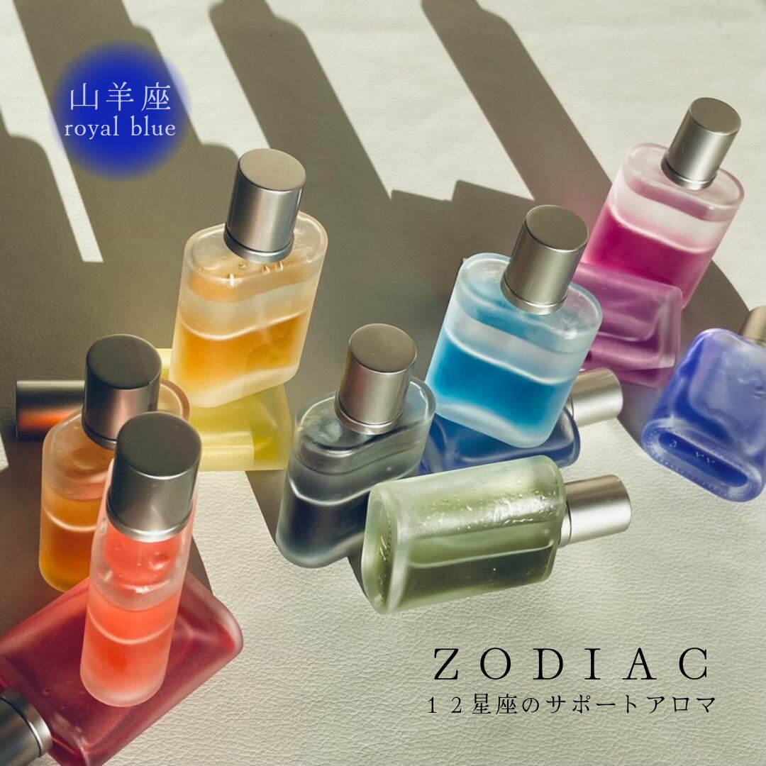 ZODIACシリーズ BUNGUBOXオリジナル 山羊座 万年筆 セーラー万年筆  