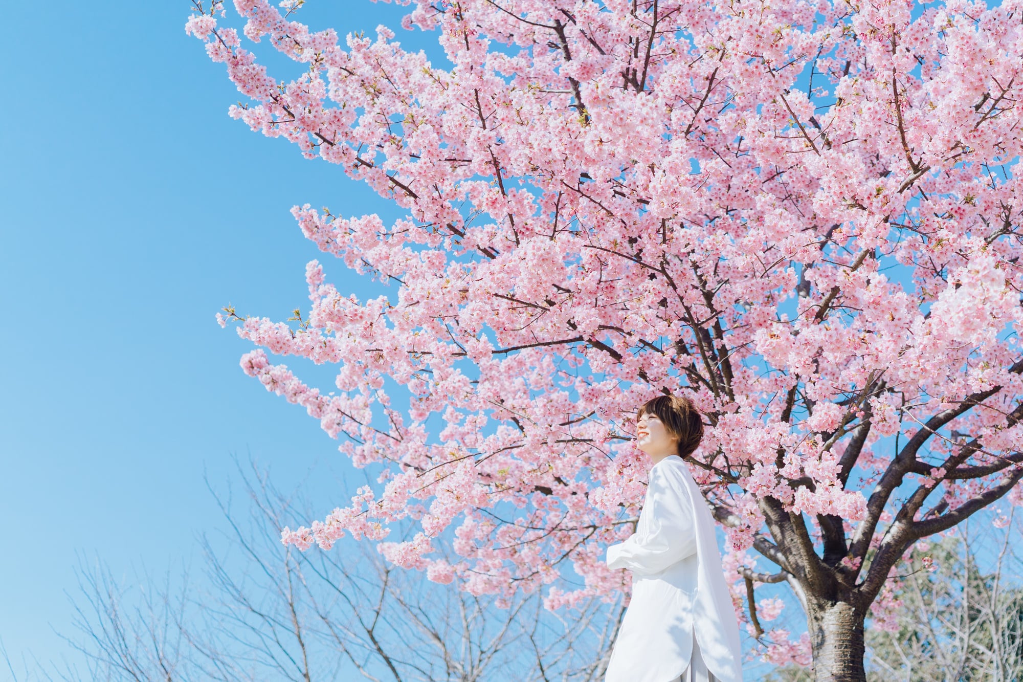Makoto Ara presets for SAKURA【スマホ版】 | Lovegraph Shop