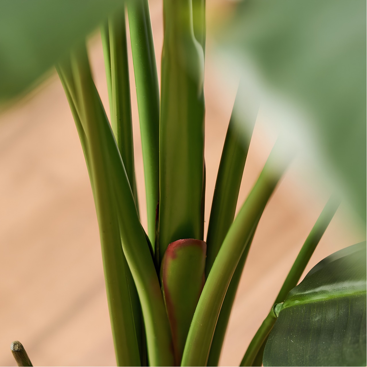 ストレリチア210㎝［人工観葉植物・フェイクグリーンT］