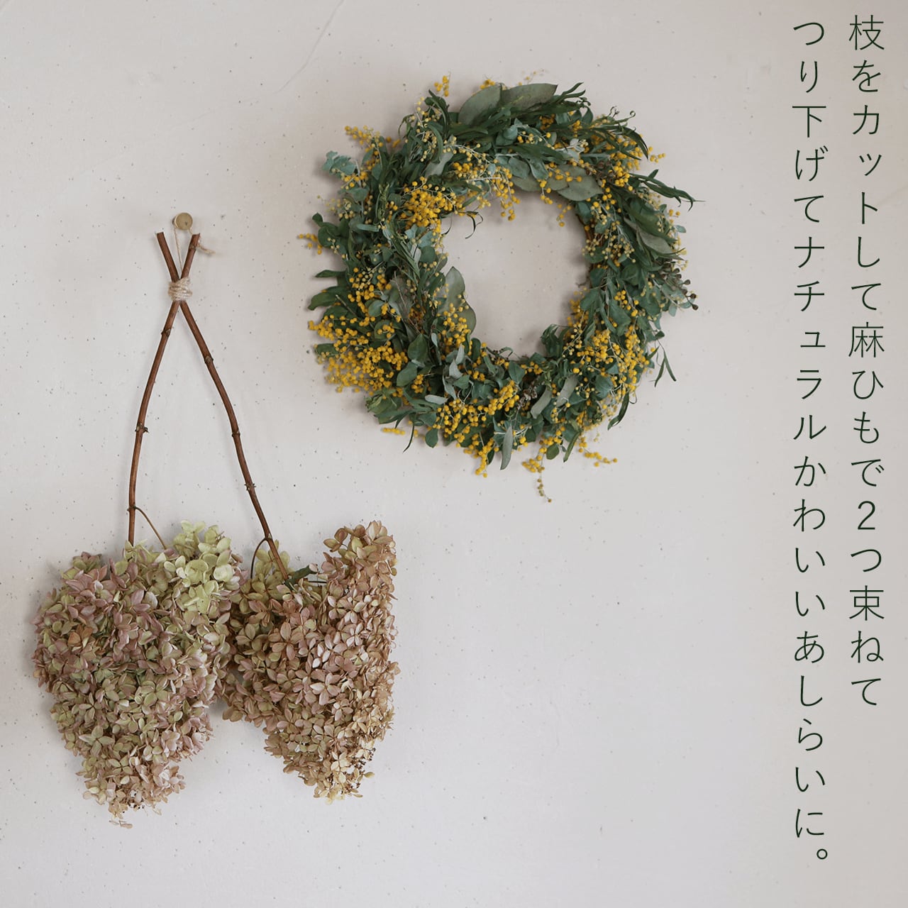 アジサイ ミナヅキ枝付き 中サイズ / あじさい アジサイ アジサイ ミナヅキ枝付き 中サイズ / あじさい アジサイ