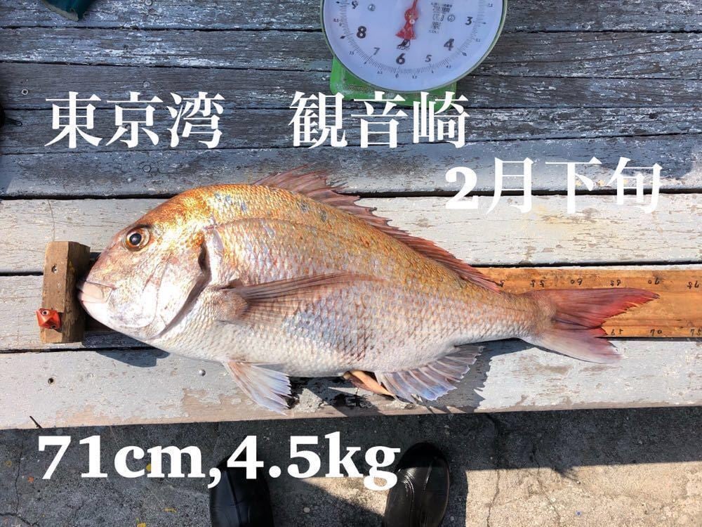 夜光グロー120g2個 タイラバ 鯛ラバヘッド タングステン ネクタイ 送料