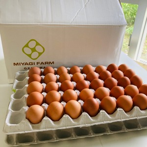 【定期便・月1回】平飼い卵80個(+5個割れ保障)