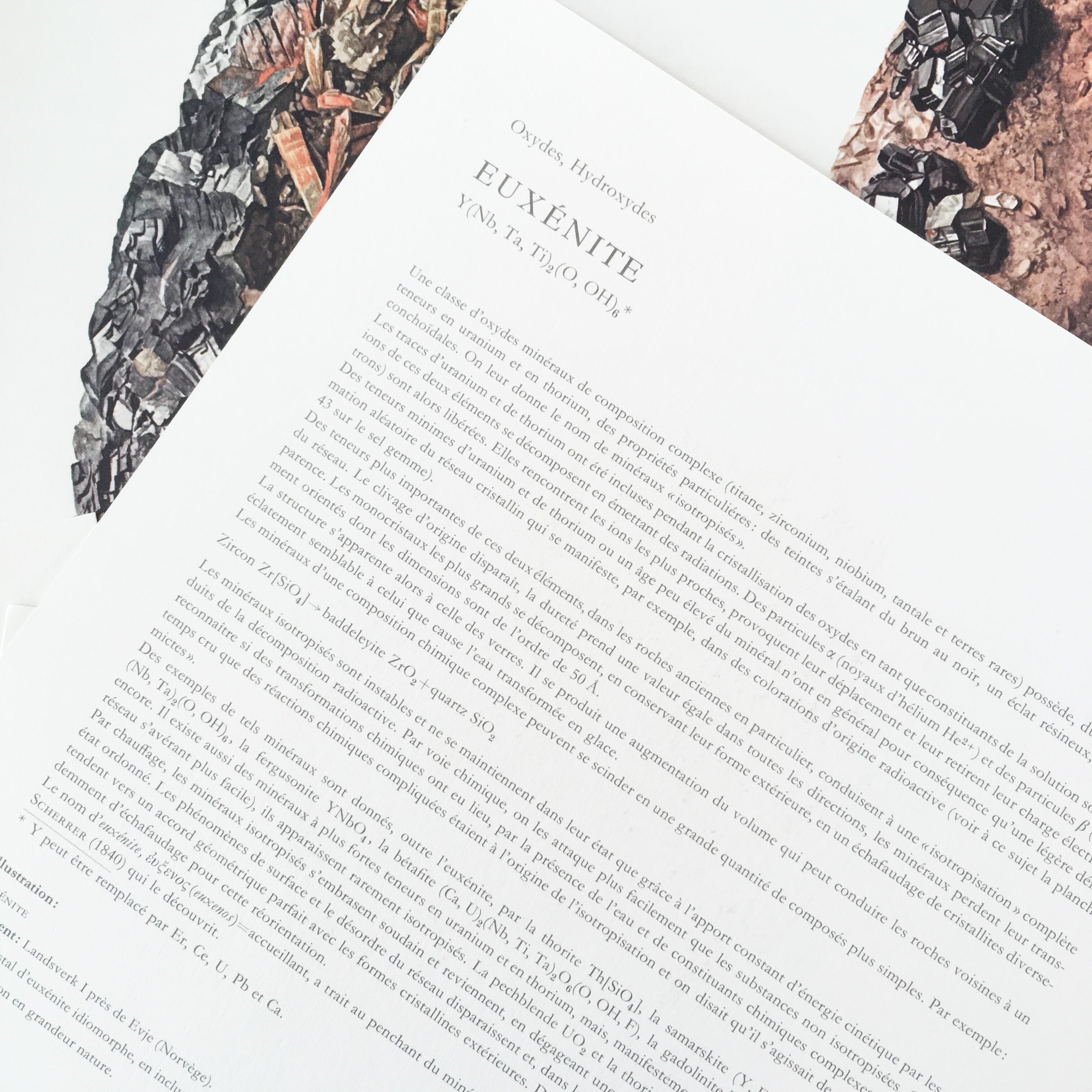 欲しいの チェコの古い鉱物図鑑(1966年)/鉱石図鑑 鉱物画 鉱石画