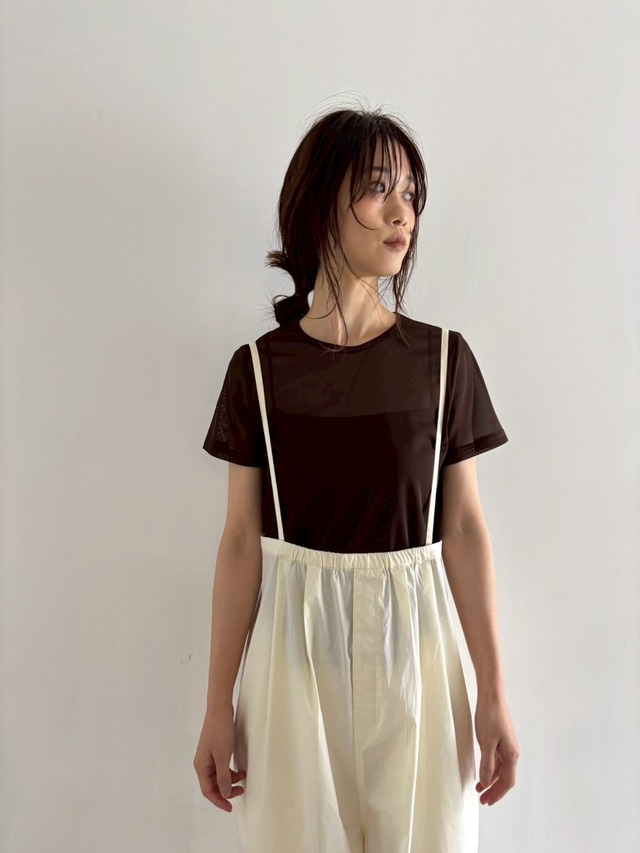 short sleeve sheerT