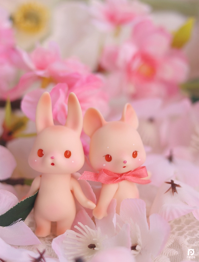 [3月29日発売]春シーズンBunny（4Chi2X）