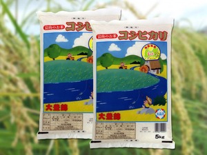 大豊錦（たいほうにしき）『5kg』×2袋【コシヒカリ・たいほうにしき・とやまのお米・富山県産・おいしいお米】