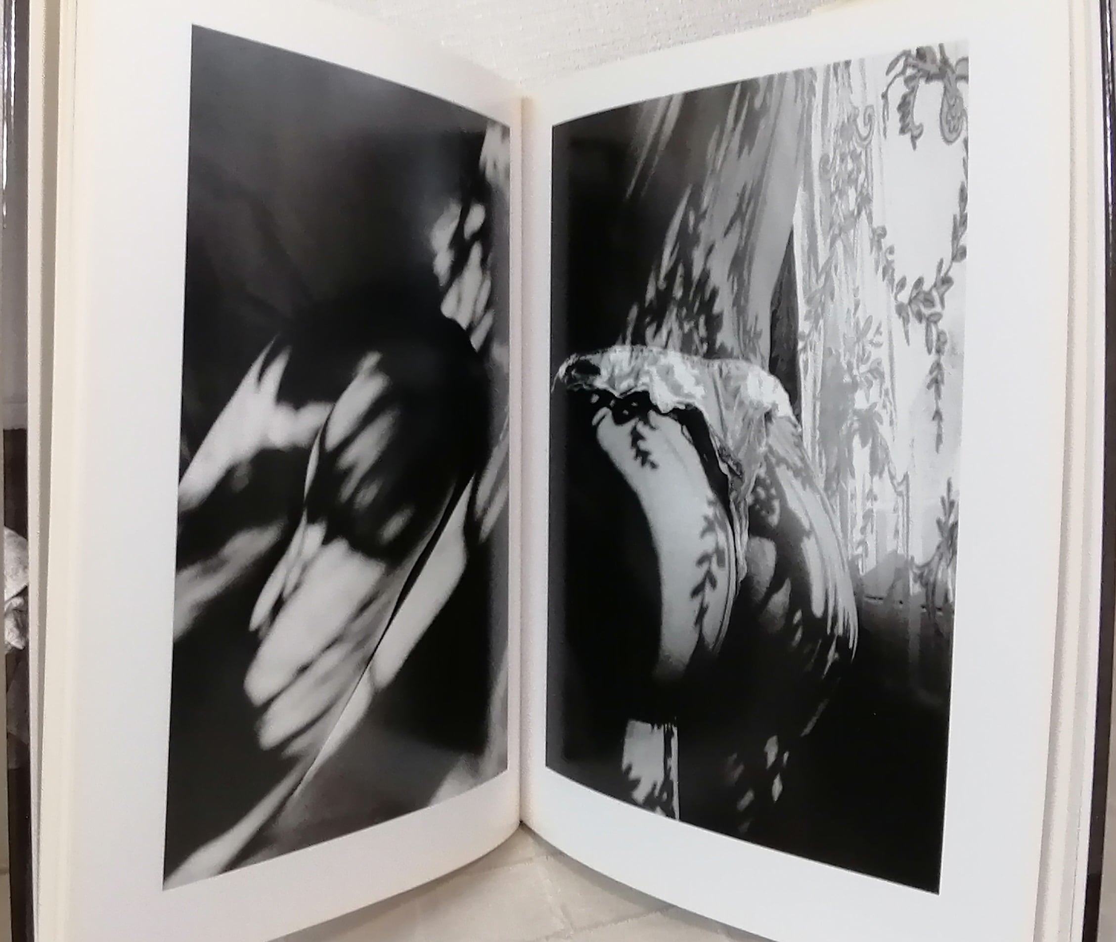 ジャンルー・シーフ写真集 DERRIERES 京都書院 | 札幌の古書店