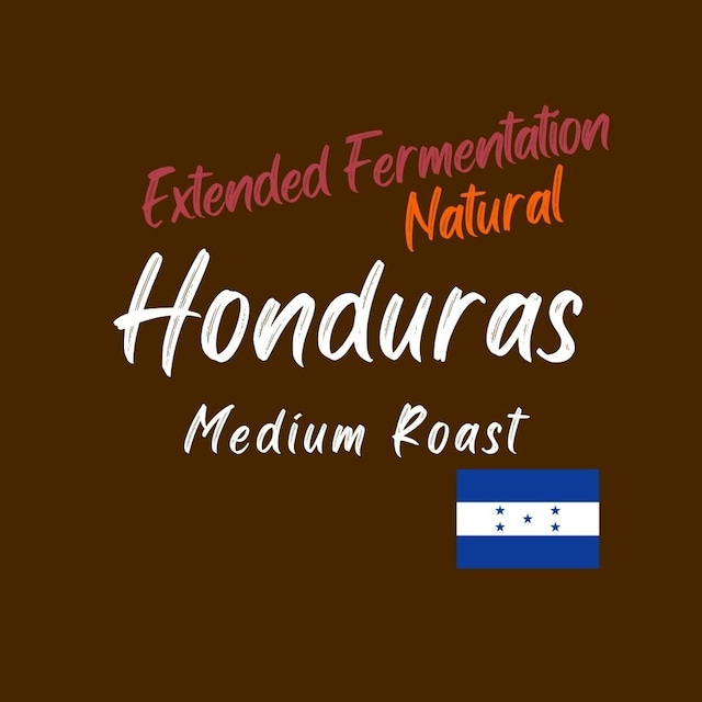 ホンジュラス／中煎り【エルプエンテ農園 エクステンド ファーメンテーション ナチュラル】100g