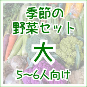 季節の野菜セット　大サイズ