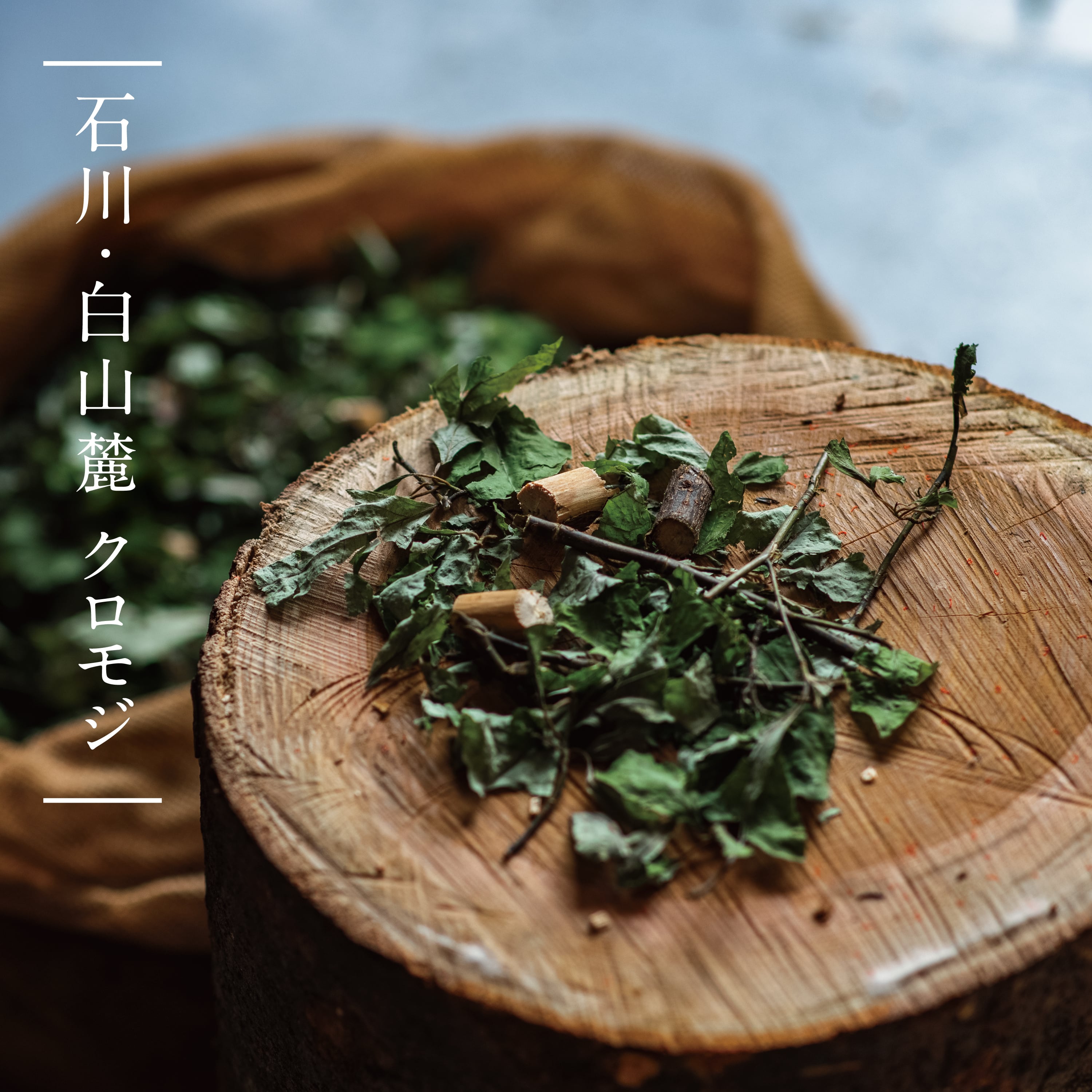 フレッシュ芳香蒸留水 クロモジ 120ml | Shinchi Ringyo