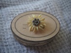 FRANCE ~1960’s Vintage celluloid Edelweiss brooch