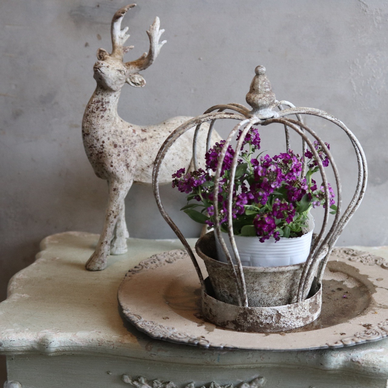 アリッサム　クリスタル　ムラサキカラー　小さなお花　丈夫で横にひろがる　冬から春まで咲く