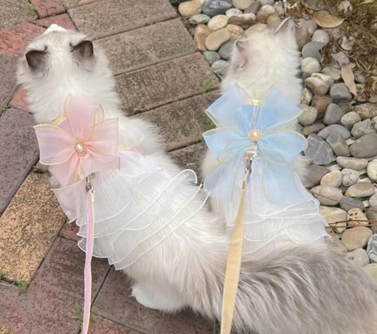 《予約》210912 リボンベールハーネス