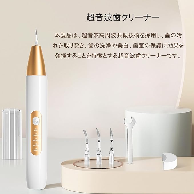 Micfendy 超音波歯クリーナー 歯間クリーナー 口腔洗浄器 USB 充電式